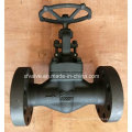 API602 High Pressure 1500lb Forged Steel Flange End Globe Valve